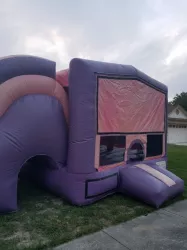 Pink and Purple Wet/Dry Combo