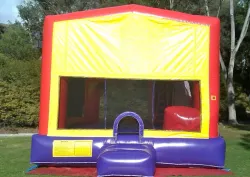 Water Slide Combo Bounce House (C4 Waterslide Combo)