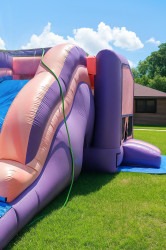 Pink and Purple Wet/Dry Combo